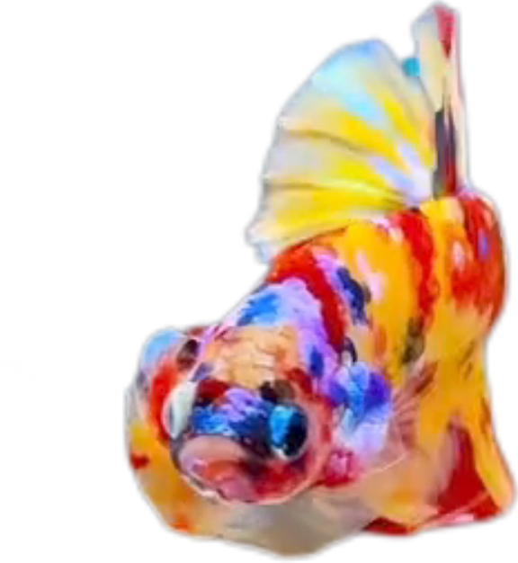 Premium Multicolor HMPK Betta_M039 (Male) - Image 6