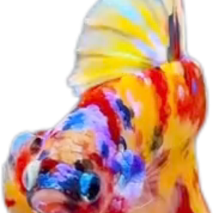 Premium Multicolor HMPK Betta_M039 (Male)
