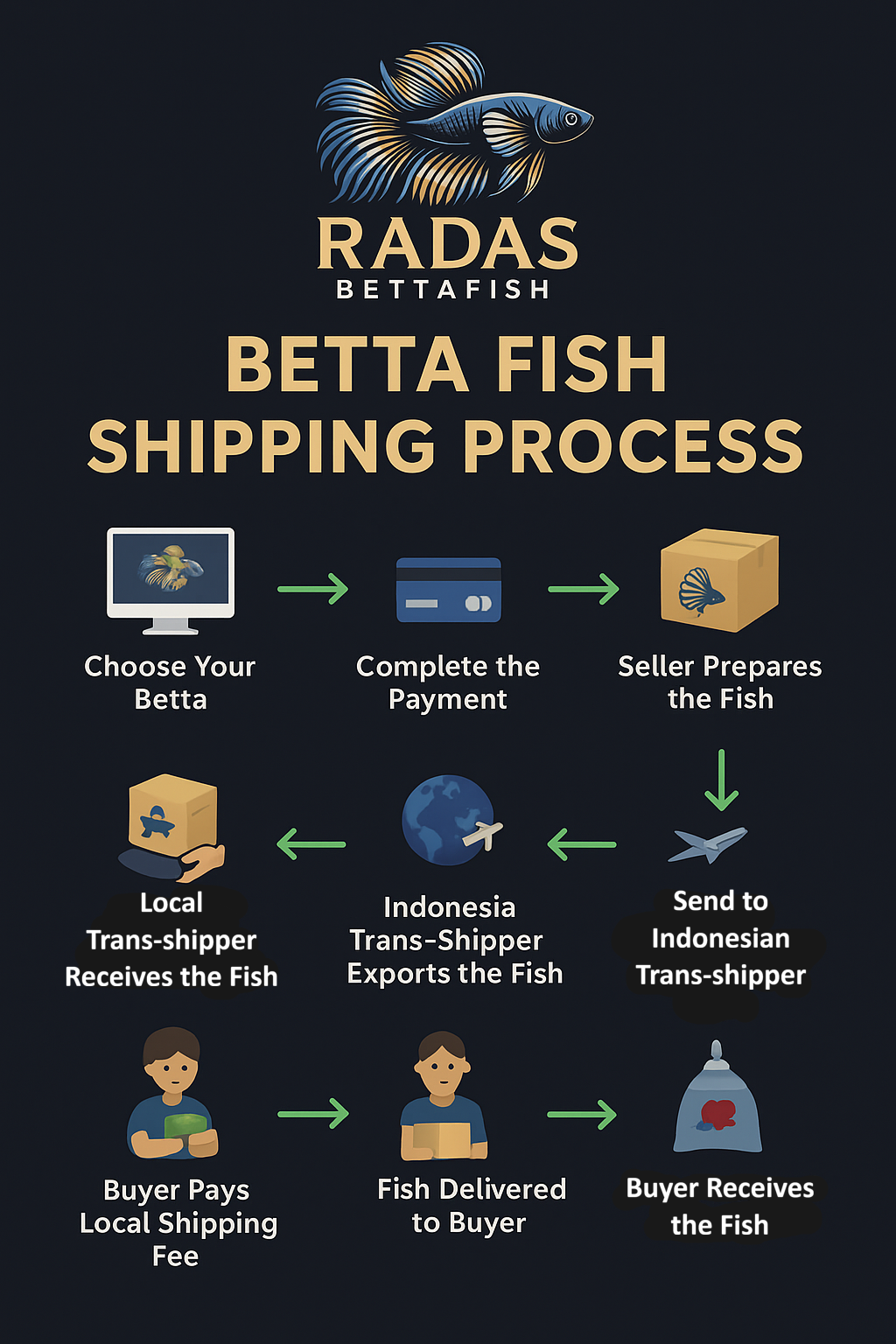 Export-Grade Yellow Dragon HMPK Betta — 100 Males (Wholesale)