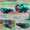 Pair Bluestar Galaxy Avatar HMPK Betta